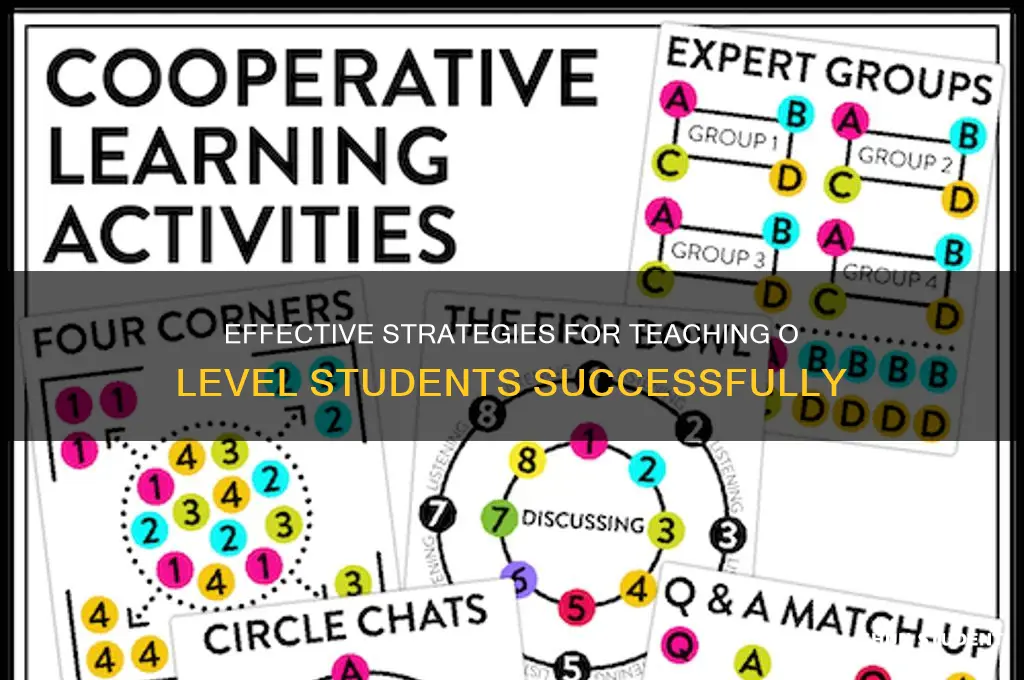 how to teach o level students