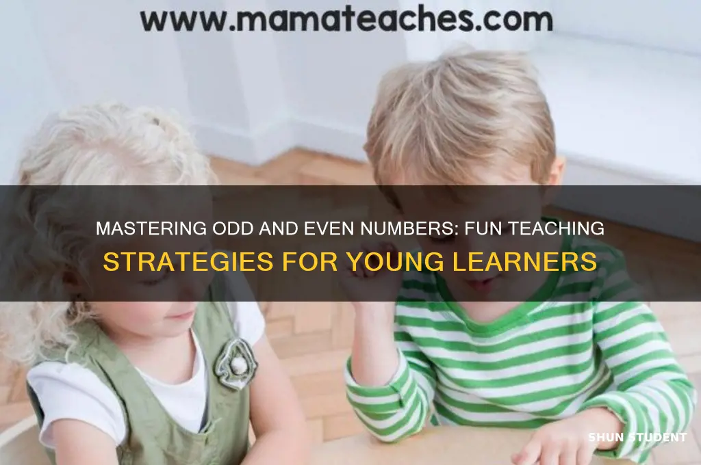 how to teach odd and even numbers to students