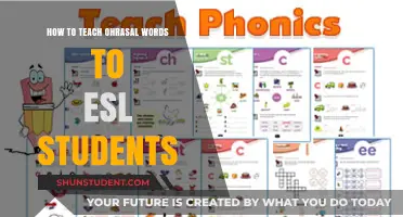 Effective Strategies for Teaching Oral Vocabulary to ESL Learners
