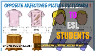 Effective Strategies for Teaching Opposites to ESL Learners