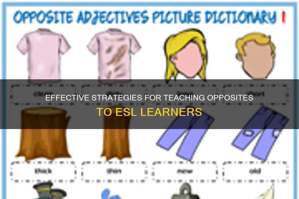 how to teach opposites to esl students