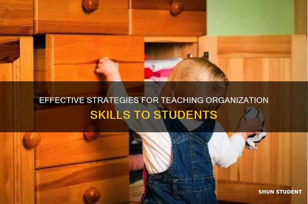 how to teach organization skills to students