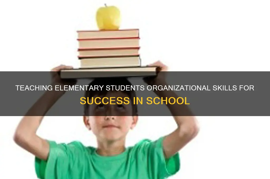 how to teach organizational skills to elementary students