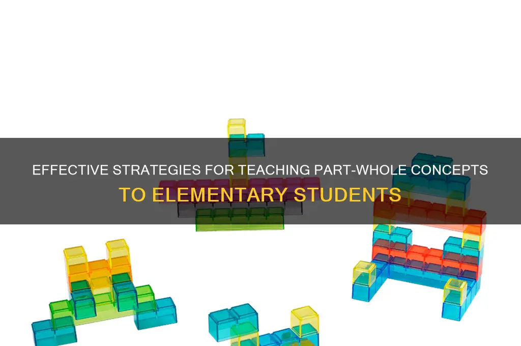 how to teach part of the staff to elementary students
