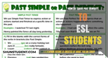 Mastering Past Perfect: Effective Strategies for Teaching ESL Students