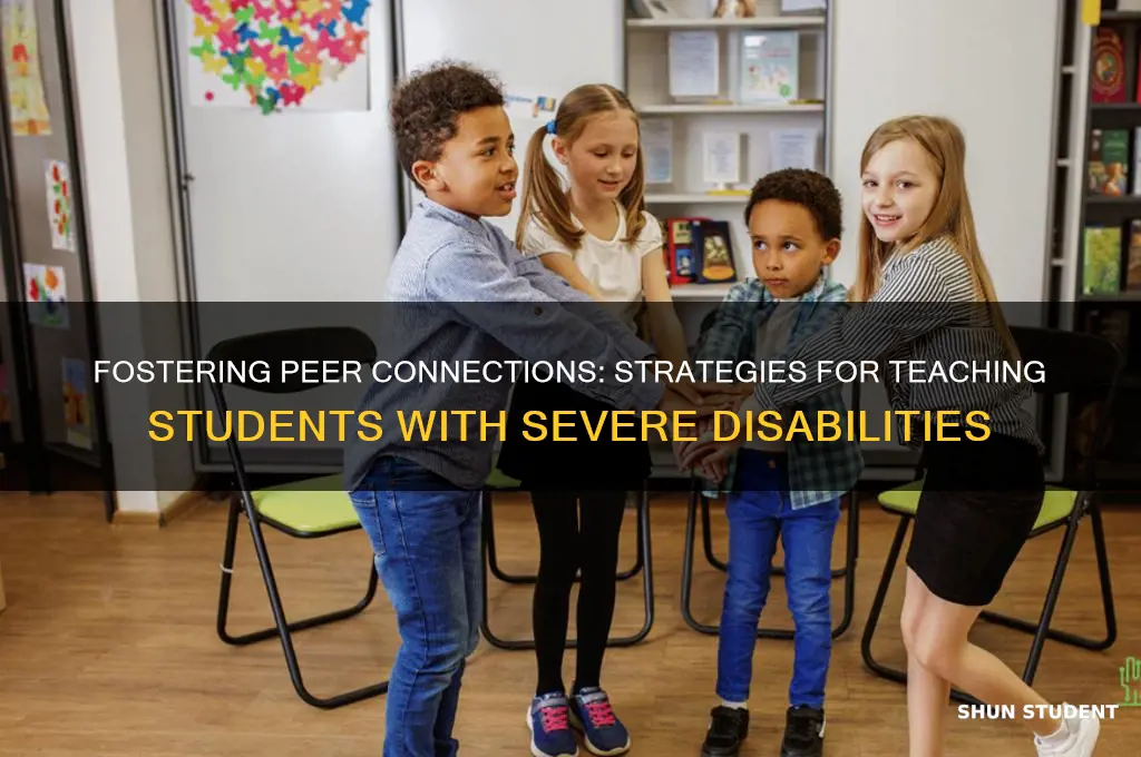 how to teach peer interaction with students with sever disabilities