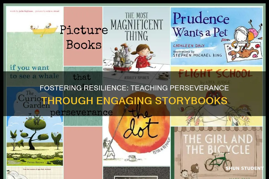 how to teach perseverance to students using a book