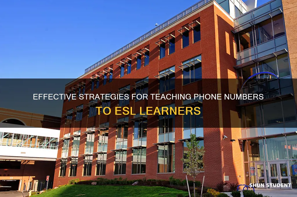 how to teach phone numbers to esl students