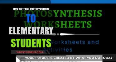 Fun Ways to Teach Photosynthesis to Young Learners