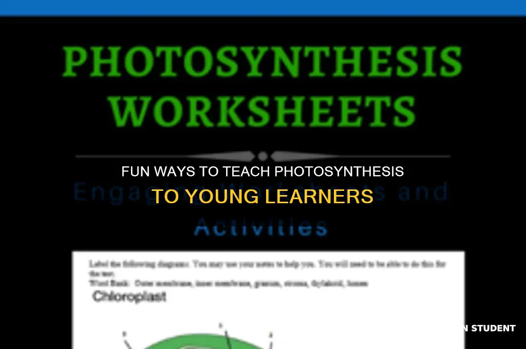 how to teach photosynthesis to elementary students