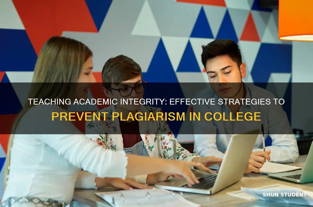 how to teach plagiarism to college students