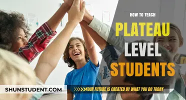 Strategies to Re-Engage and Advance Plateauing Students in Learning