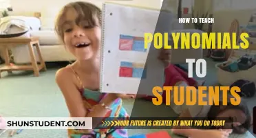 Mastering Polynomials: Effective Teaching Strategies for Engaging Young Learners