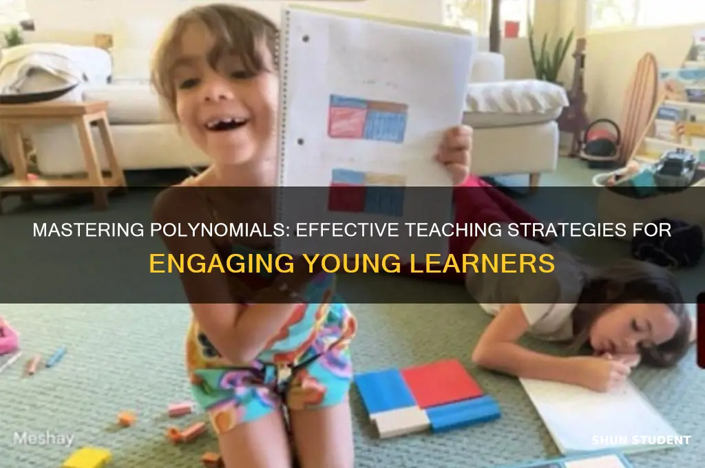 how to teach polynomials to students