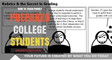 Empowering Underprepared College Students: Strategies for Effective Teaching Success