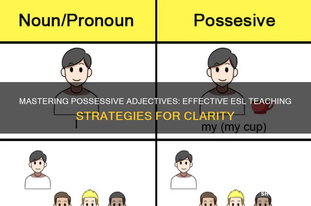 how to teach possessive adjectives to esl students