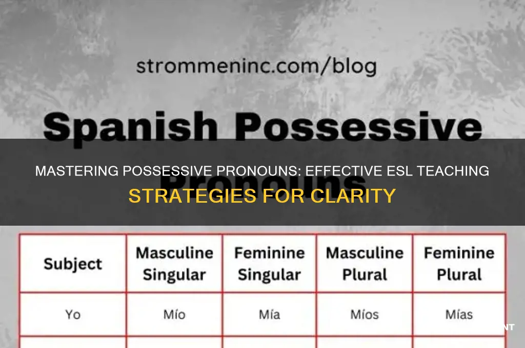 how to teach possessive pronouns to esl students