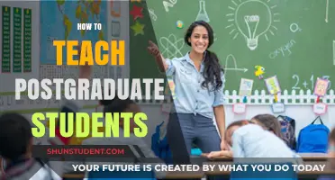 Effective Strategies for Teaching Postgraduate Students: A Comprehensive Guide