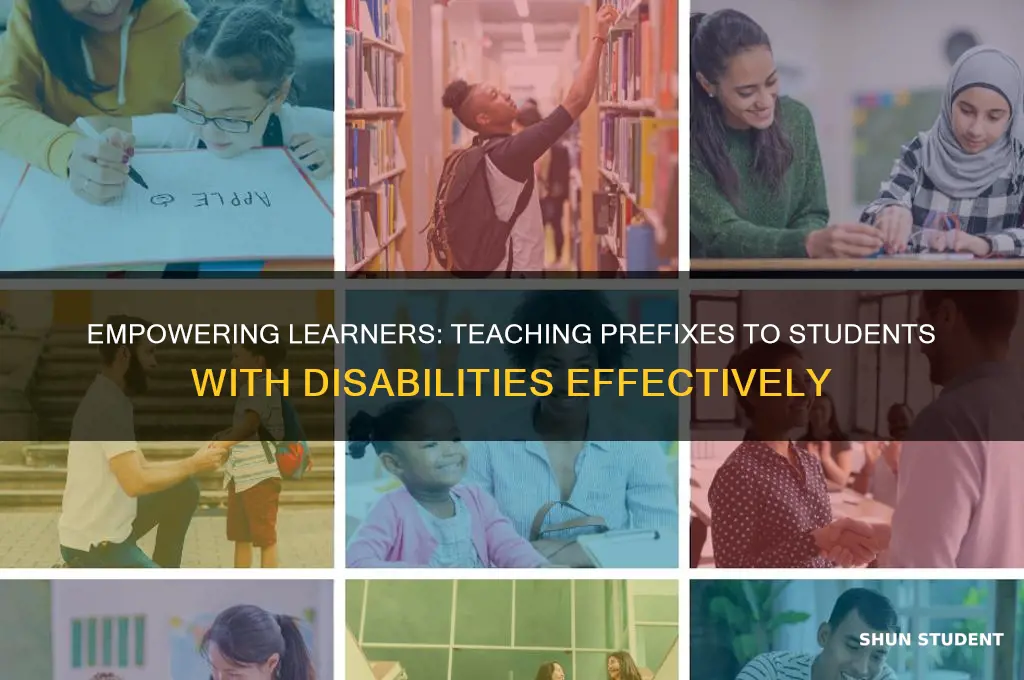 how to teach prefixes to students with disabilities