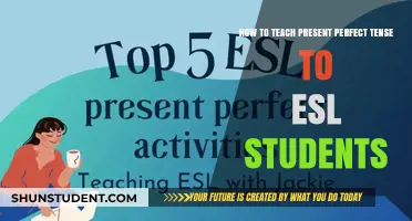 Mastering Present Perfect: Effective Strategies for Teaching ESL Students
