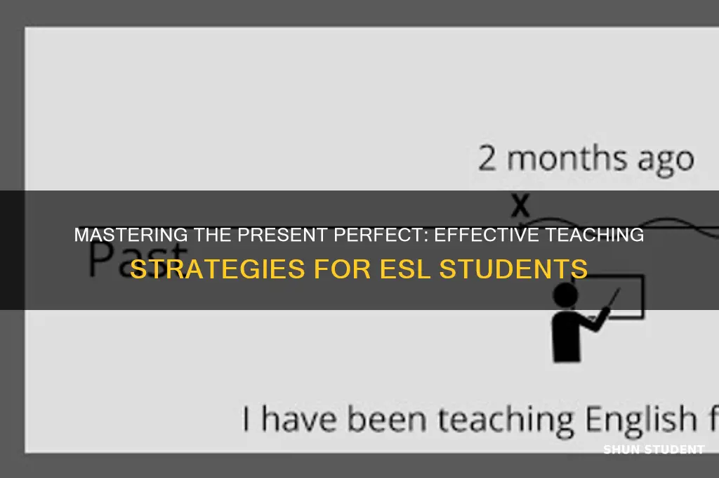 how to teach present perfect tense to students