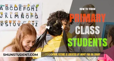 Effective Strategies for Engaging and Teaching Primary Class Students