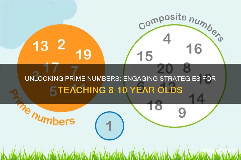 how to teach prime numbers to students