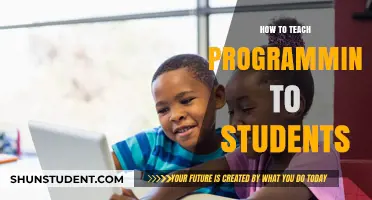 Effective Strategies for Teaching Programming to Students: A Comprehensive Guide