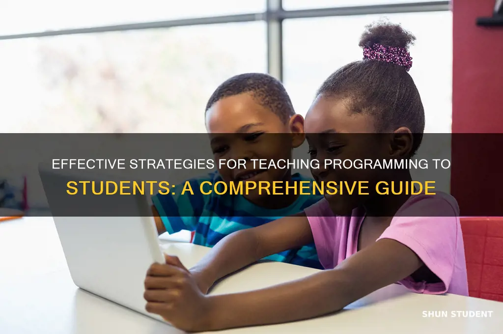 how to teach programming to students