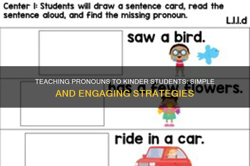 how to teach pronouns to a kinder student