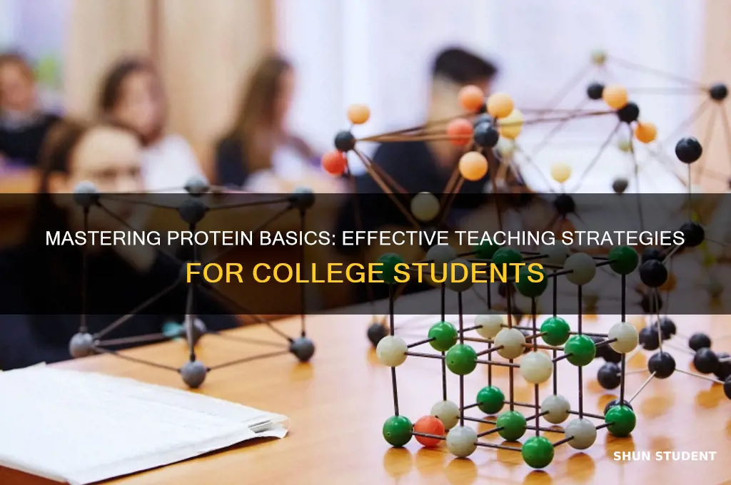 how to teach protein to college students