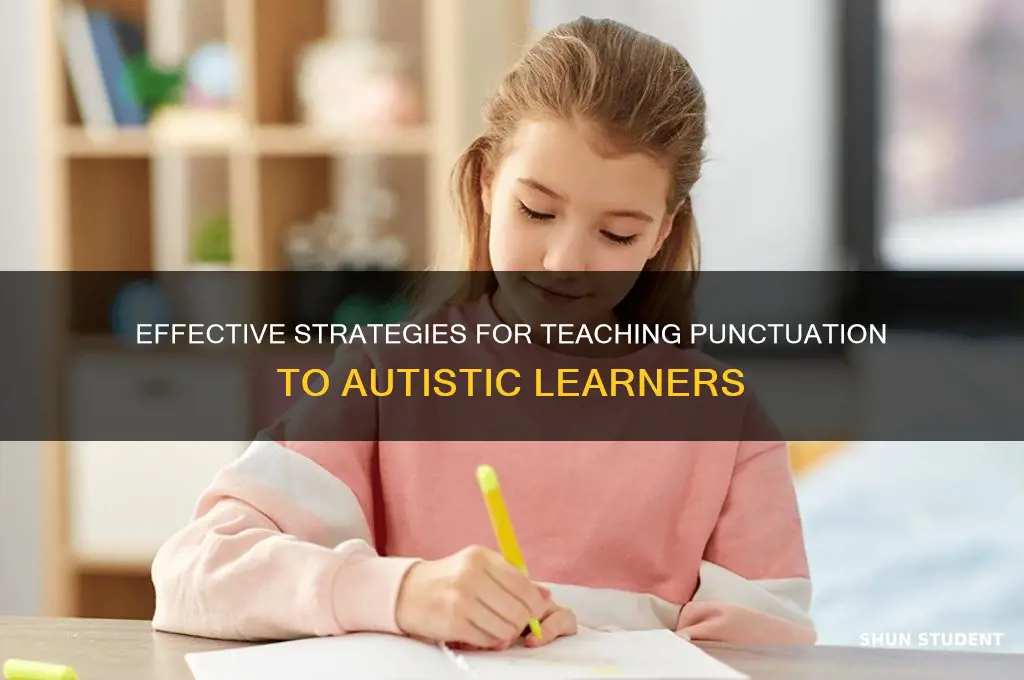 how to teach punctuation to autistic students