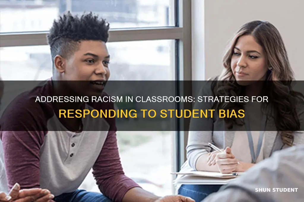 how to teach racism to student making racist comments