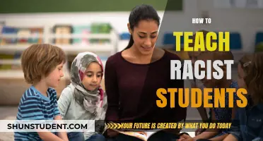Addressing Racism in the Classroom: Strategies for Educating Biased Students