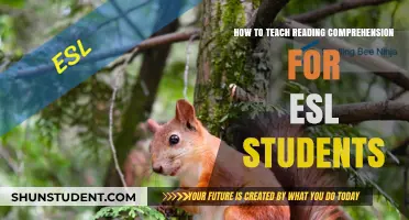 Effective Strategies to Enhance Reading Comprehension for ESL Learners