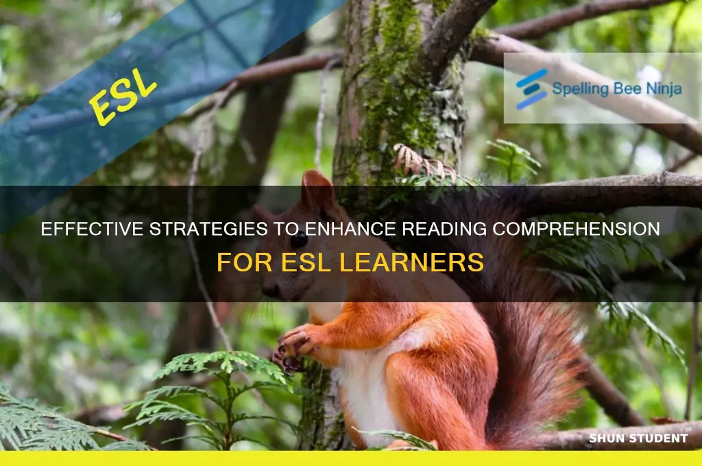 how to teach reading comprehension for esl students
