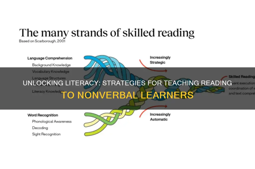 how to teach reading to nonverbal students