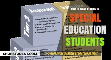 Effective Strategies for Teaching Reading to Special Education Students