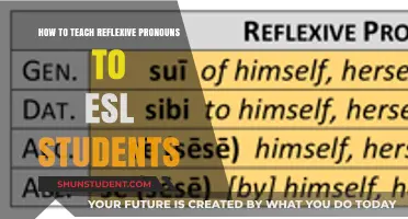Mastering Reflexive Pronouns: Effective ESL Teaching Strategies for Clarity