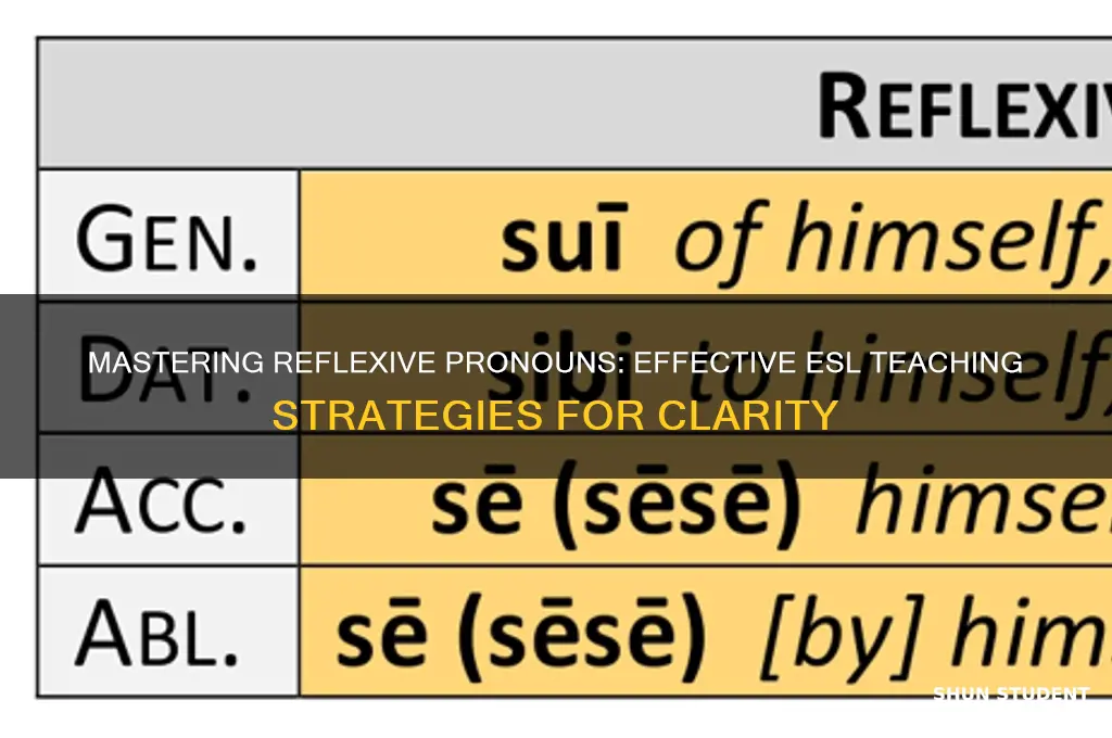 how to teach reflexive pronouns to esl students