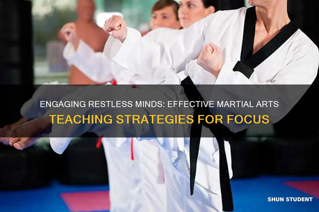 how to teach restless students in matrial arts