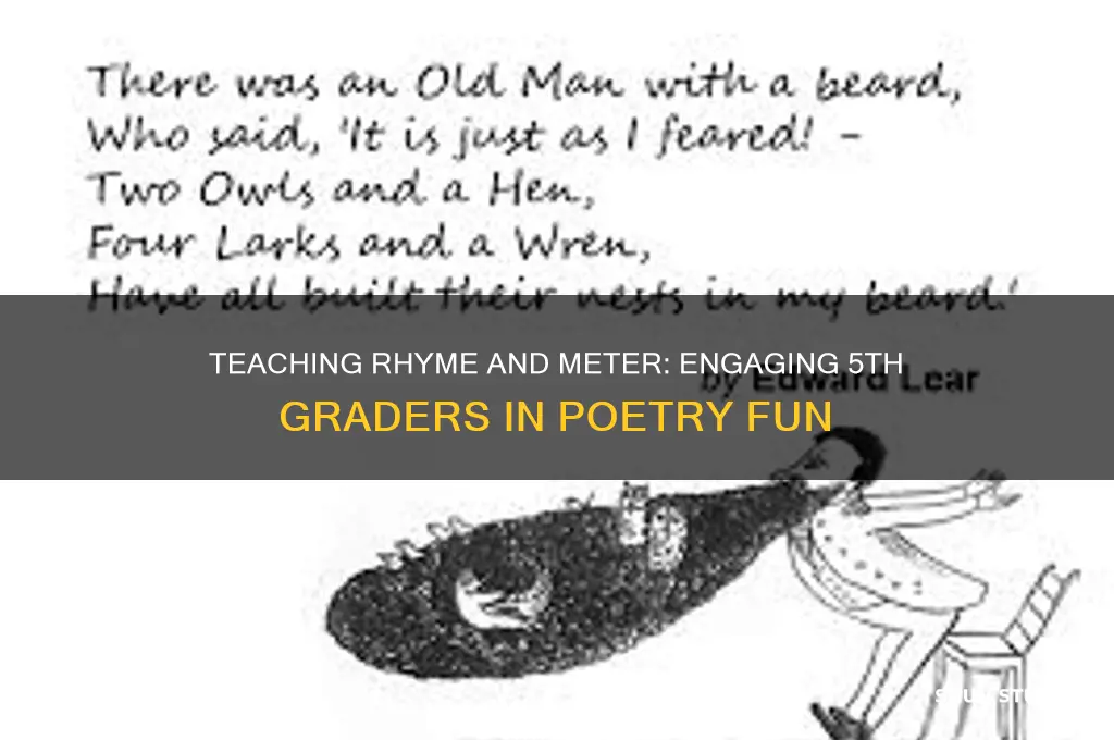 how to teach rhyme and meter to 5th grade students