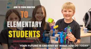 Engaging Young Minds: Teaching Robotics to Elementary Students