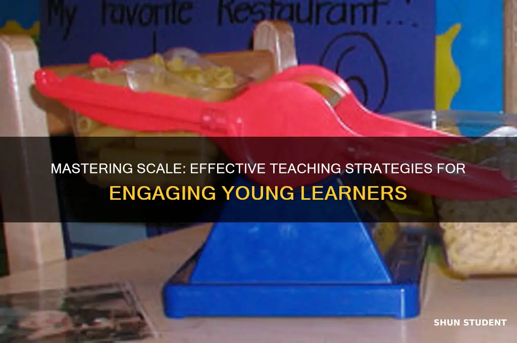 how to teach scale to students
