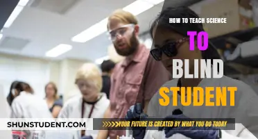 Innovative Strategies for Teaching Science to Blind Students Effectively
