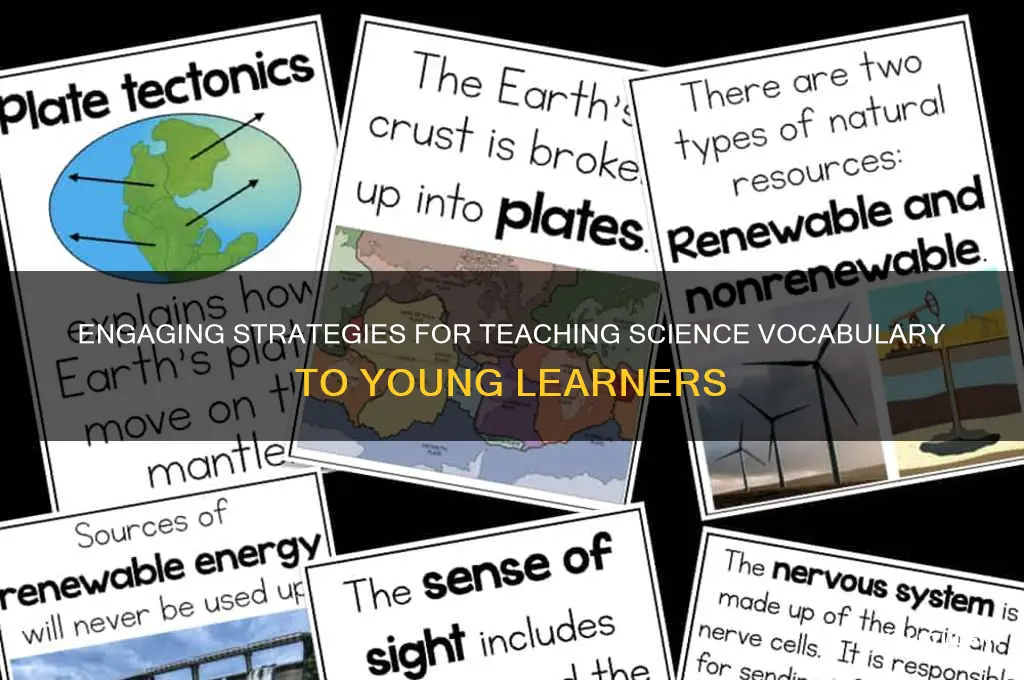 how to teach science vocabulary to elementary students
