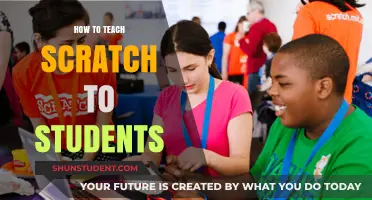 Teaching Scratch: Engaging Students in Creative Coding Adventures