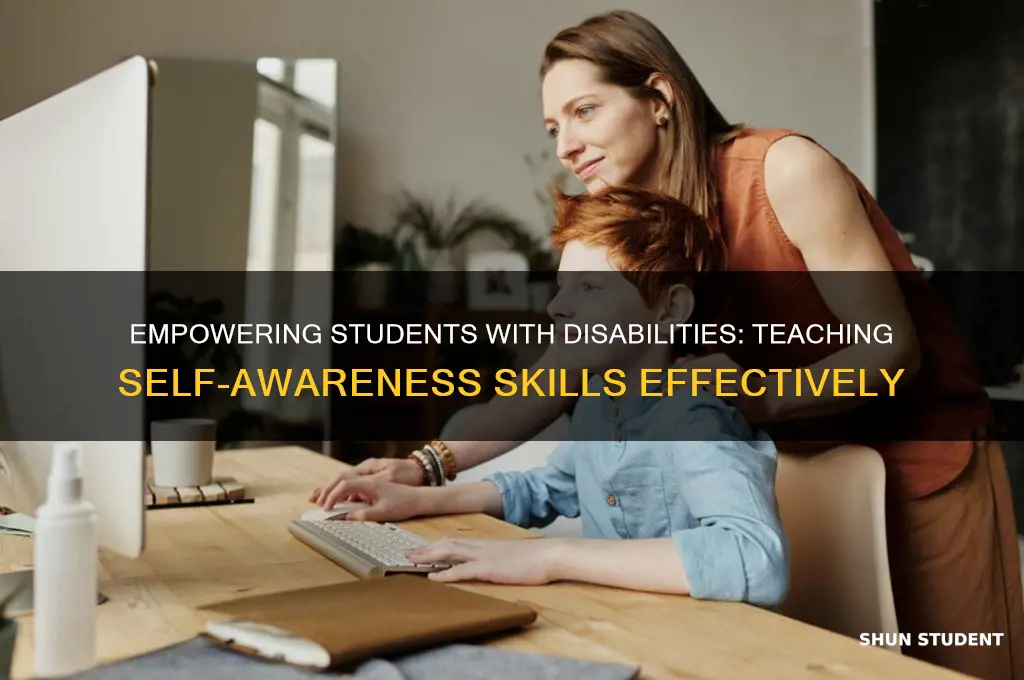 how to teach self awareness skills to students with disabilities