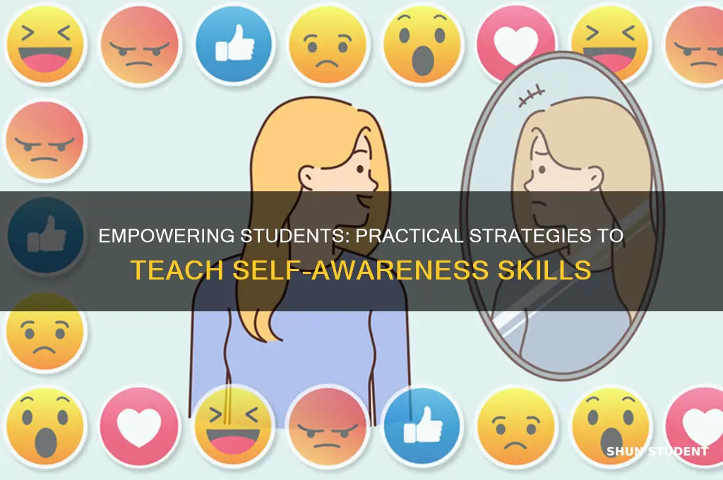 how to teach self awareness skills to students