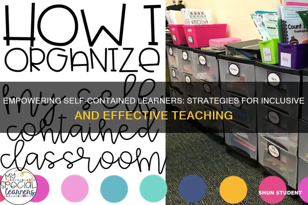 how to teach self-contained students
